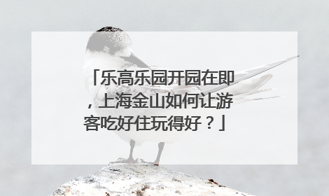 乐高乐园开园在即，上海金山如何让游客吃好住玩得好？